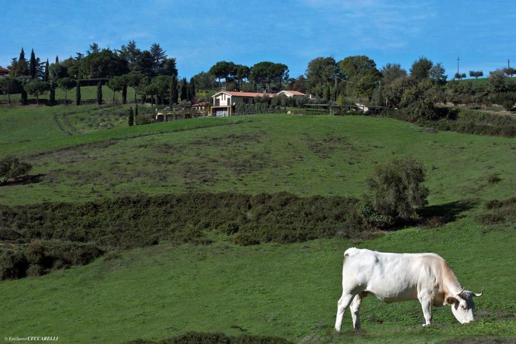 Agriturismo Valle Siriaca Castelnuovo Di Porto Bagian luar foto